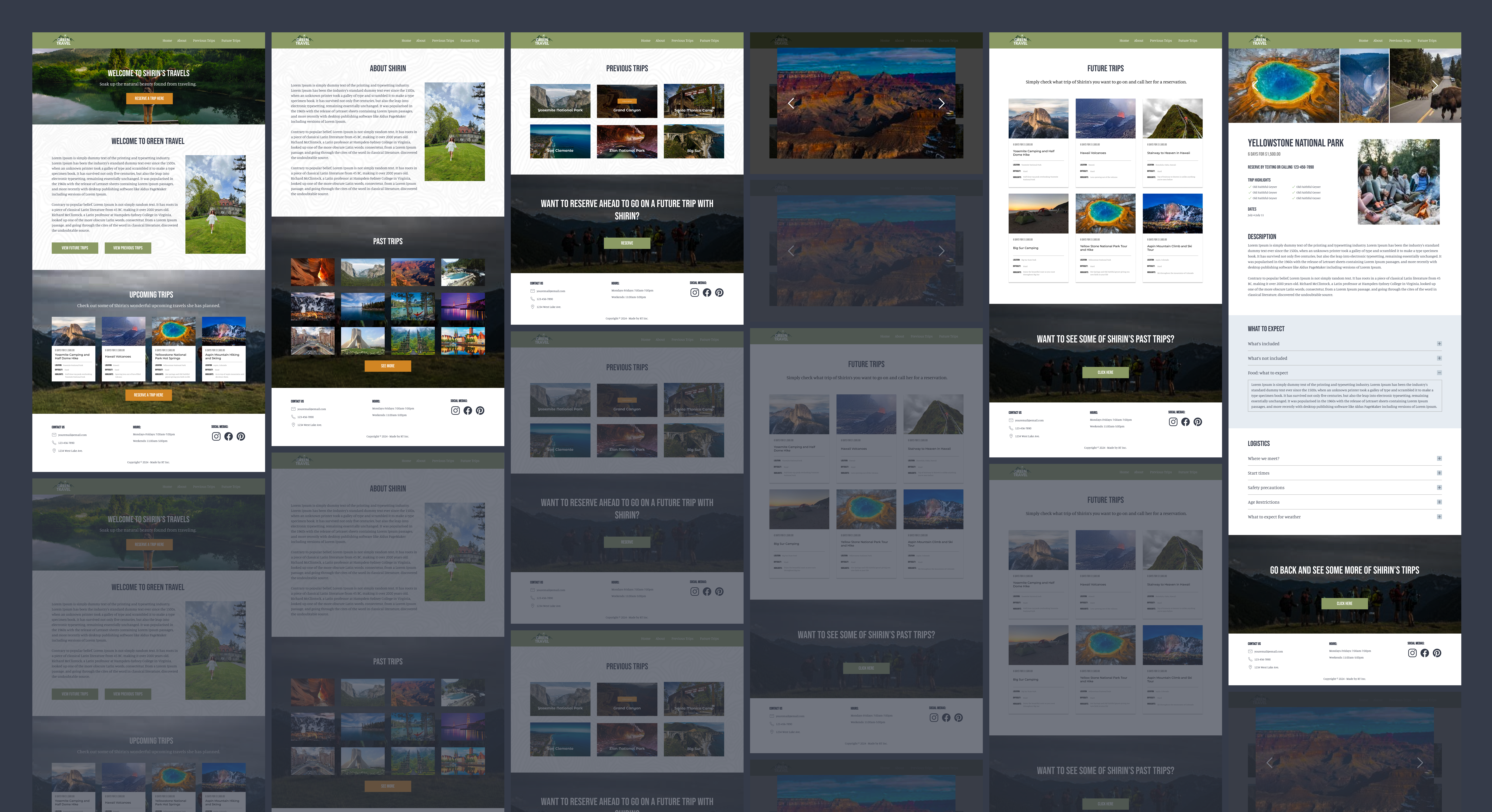 Shirin's Green Travels Website Mockup